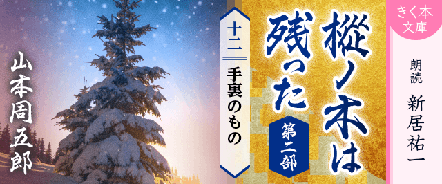 樅ノ木は残った 第二部 <十二>手裏のもの