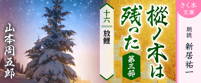 樅ノ木は残った 第三部 <十六>放鯉