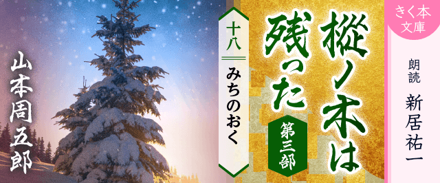 樅ノ木は残った 第三部 <十八>みちのおく