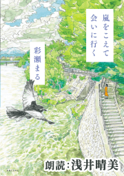 嵐をこえて会いに行く