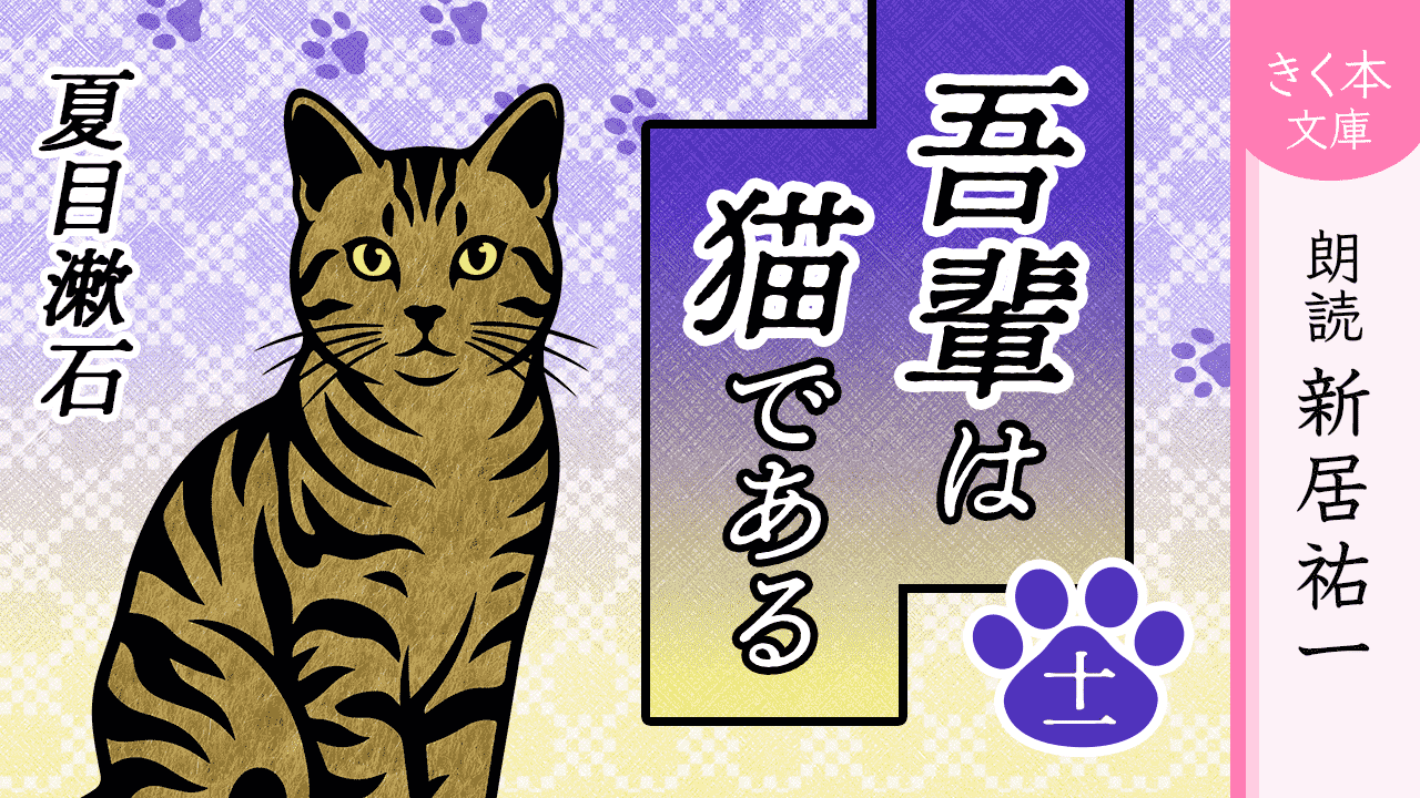 吾輩は猫である＜十一＞