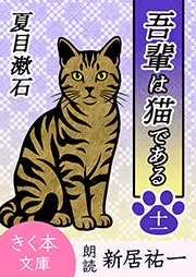 吾輩は猫である＜十一＞