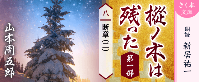 樅ノ木は残った 第一部 <八>断章(二)