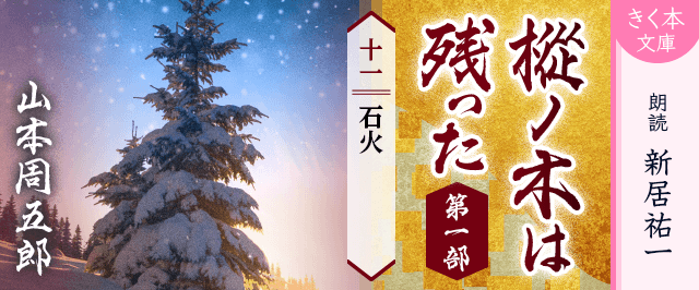 樅ノ木は残った 第一部 <十一>石火