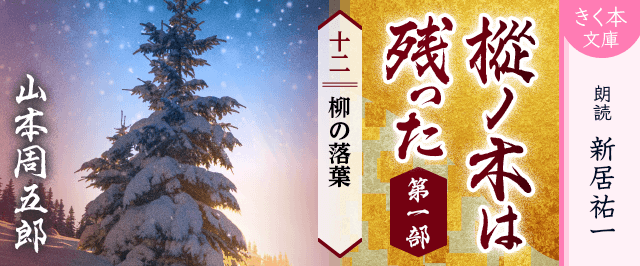 樅ノ木は残った 第一部 <十二>柳の落葉