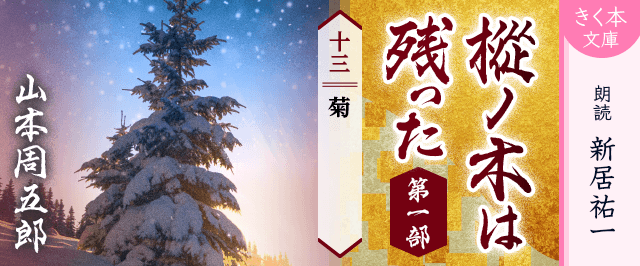 樅ノ木は残った 第一部 <十三>菊
