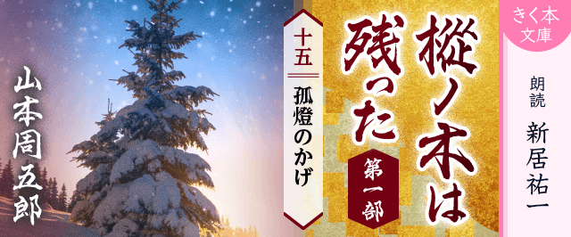 樅ノ木は残った 第一部 <十五>孤燈のかげ