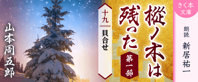 樅ノ木は残った 第一部 <十九>貝合せ