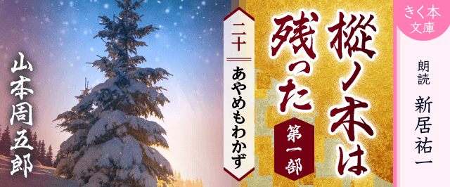 樅ノ木は残った 第一部 <二十>あやめもわかず