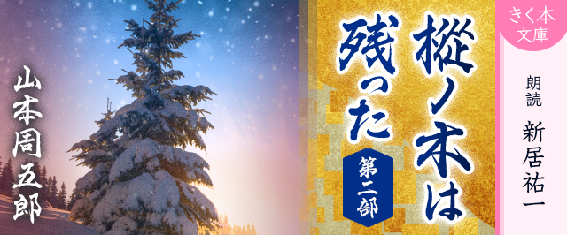 樅ノ木は残った　第二部