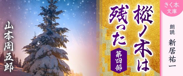 樅ノ木は残った　第四部